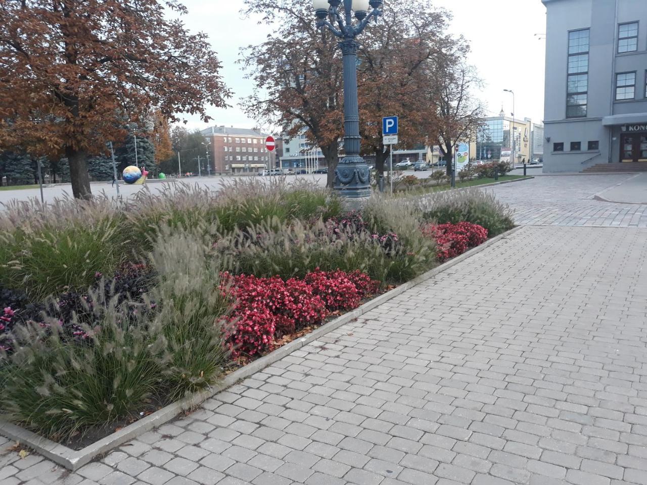Town Center Studio Apartment Daugavpils Buitenkant foto